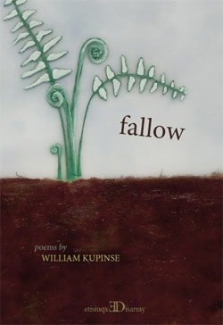 Fallow_front_cover